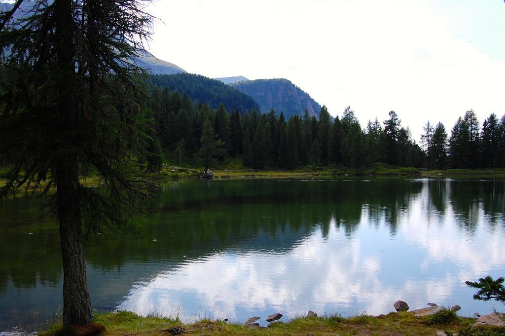 Rododendro 3* Passo San Pellegrino